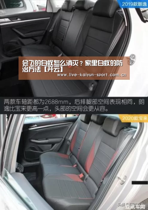 会飞的白蚁怎么消灭?家里白蚁的防治方法【开云】(图1) 开云官方