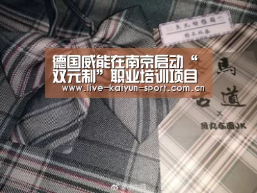 德国威能在南京启动“双元制”职业培训项目【开云】(图2) 开云集团