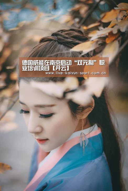 德国威能在南京启动“双元制”职业培训项目【开云】(图1) 开云团队