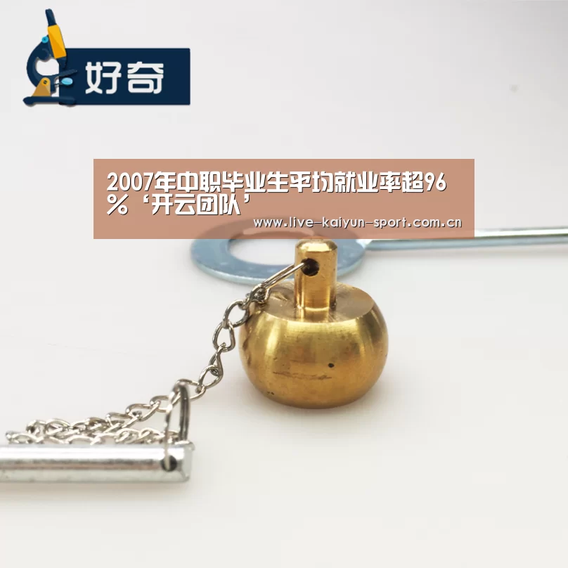 2007年中职毕业生平均就业率超96%‘开云团队’(图4) 开云团队
